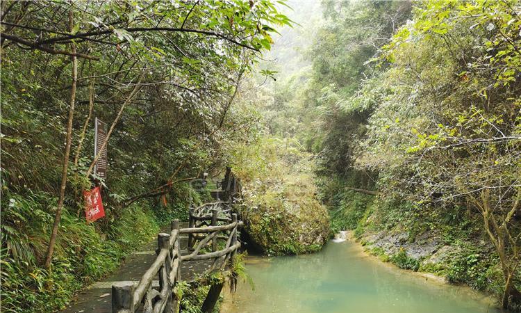 小蓝球向上跳